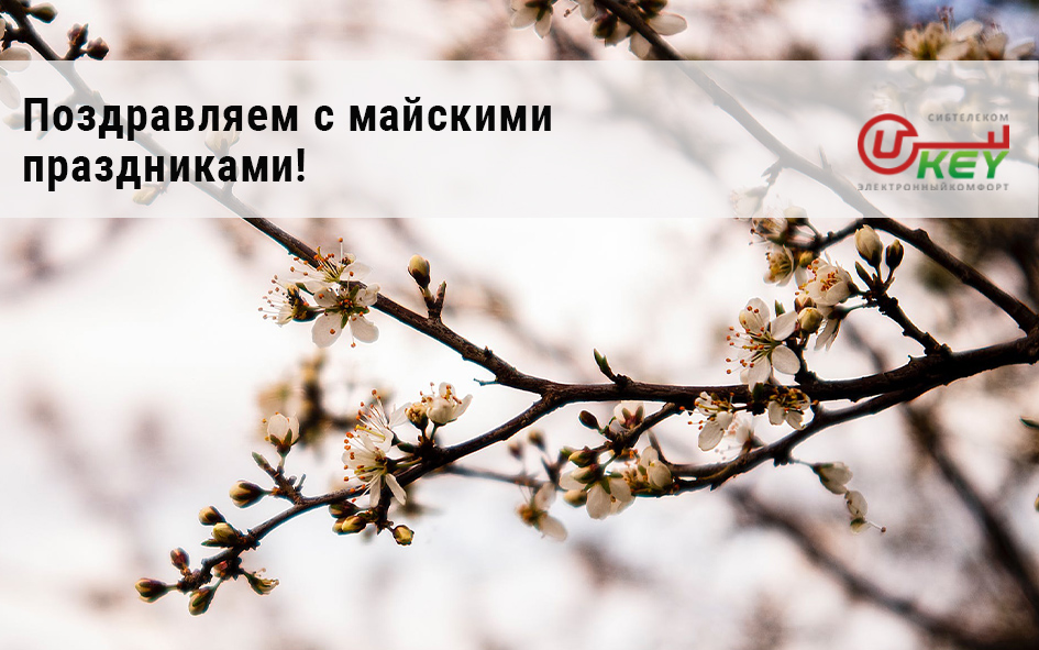 Поздравляем с майскими праздниками!